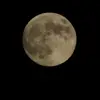 Josue Salgado - @josue.salgado292 - TikTok