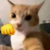 Josue Solano - @josue.solano73 - TikTok
