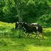 Josue Solano - @josue.solano11 - TikTok