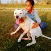 Harman - @jotsingh.2345 - TikTok
