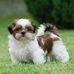 Jot Singh - Facebook