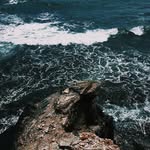 Jovan - @jovan.james - Instagram