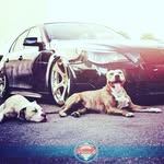 Jovan Peric - @peric_jovan_02 - Instagram
