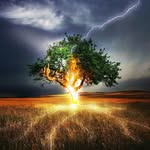 Jovan Stojkovic - @stojkovic.jovan032 - Instagram