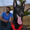 Jovani Serna - @jovani.serna3 - TikTok