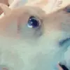 Jovany Ramirez - @jovanyxr12 - TikTok