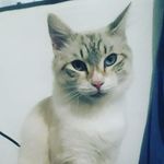 Jovany Ramírez - @jovany_ramirez_ - Instagram