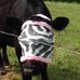 Joy Ashcraft - Facebook