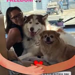 Joan Ashton - @joanjoyashton - Instagram