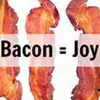 JoyfulBacon6393 - @joy.bacon - TikTok