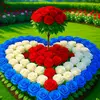 🥰🥰তুমি আমার পাখি❤️❤️❤️❤️fefr - @joybairhossain - TikTok