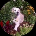 Joy Barker-Maye - @joybarkermaye_ - Instagram