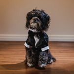 BARNEY - WAIT FOR IT - JOY - @thebarneyjoy - Instagram