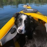 Joy Barney - @joybarney888 - Instagram