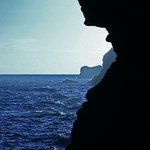Joy Barton - @joybarton - Instagram