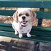 Joy Bates - Facebook