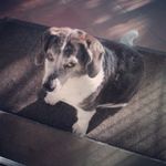 Joy Bender - @joy.bender.669 - Instagram