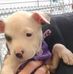 Joy Bender - Facebook
