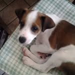 Joy - @joy_bender13 - Instagram