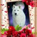 Joy Bergstrom - Facebook