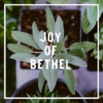 Joy Of Bethel - @joyofbethel - Instagram