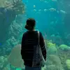 Joy Bills@91 - @joy.bills91 - TikTok