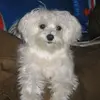 Joy Blackburn - @joy.blackburn0 - TikTok