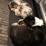 Joy , Blue - @padgulden - Instagram