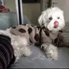 joy_bonano - @joy_bonano - TikTok
