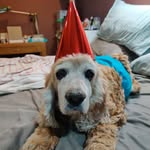 Joy Bone - @joybone5 - Instagram