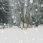 Joy Boucher - @boucher6550 - Instagram