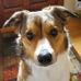 Joy Bowden - Facebook
