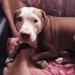 Joy Bowen - @joy.bowen.3760 - Instagram