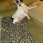 Joy Boyd - @joy.boyd.395 - Instagram