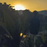 Joydeep Sarbadhikari - @joy_boydeep - Instagram