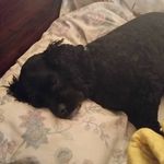 Alvin Joy Boyle - @joyboyle0522 - Instagram
