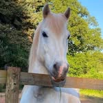 Joy Bradbury - @joybradbury1 - Instagram