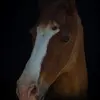 joybradbury113 - @joybradbury113 - TikTok