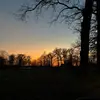 Celia Joy - @joybrandenburg - TikTok