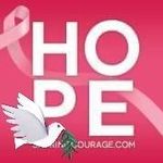Joyce Brandenburg - @61.joycebrandenburggmail.com_ - Instagram