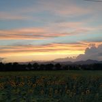 Brent - @brentcraigjoy - Instagram