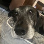 Joy Brent Poteat - @jpoteat0429 - Instagram