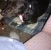 Joy Brewster - Facebook