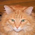 Joy O'Malley Browning - @joyomalleybrowning - Instagram