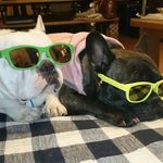 JOY_BULL - @joy_bull_ - Instagram