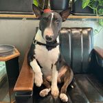 JOY - @joy.bully_ - Instagram