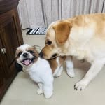 Joy_Bunny🧿 - @_joy_bunny1801 - Instagram