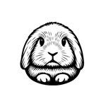 JoyBunnyShoes - @joybunnyshoes - Instagram