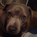 Joy Head Burks - @joyburks - Instagram