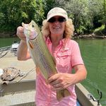 Joy Burrows - @joyaburrows - Instagram